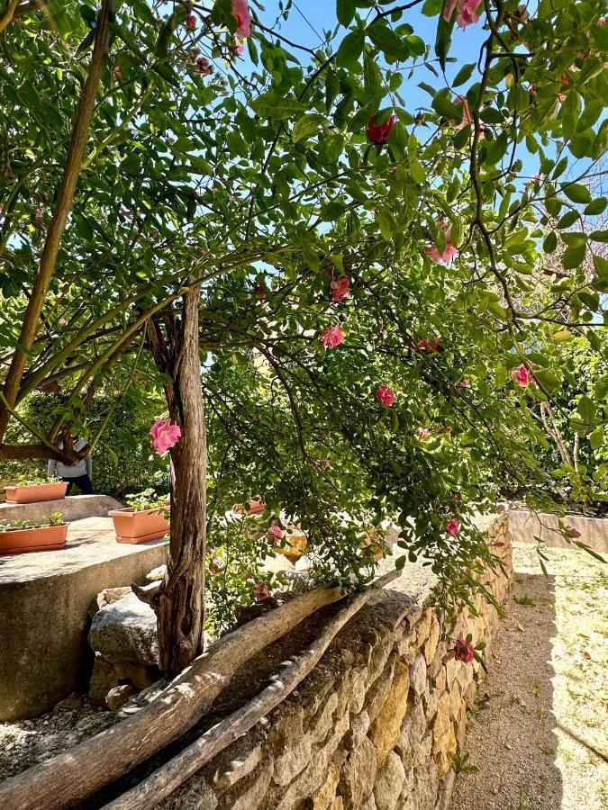 Clos De La Noria Pont-Saint-Esprit Bagian luar foto
