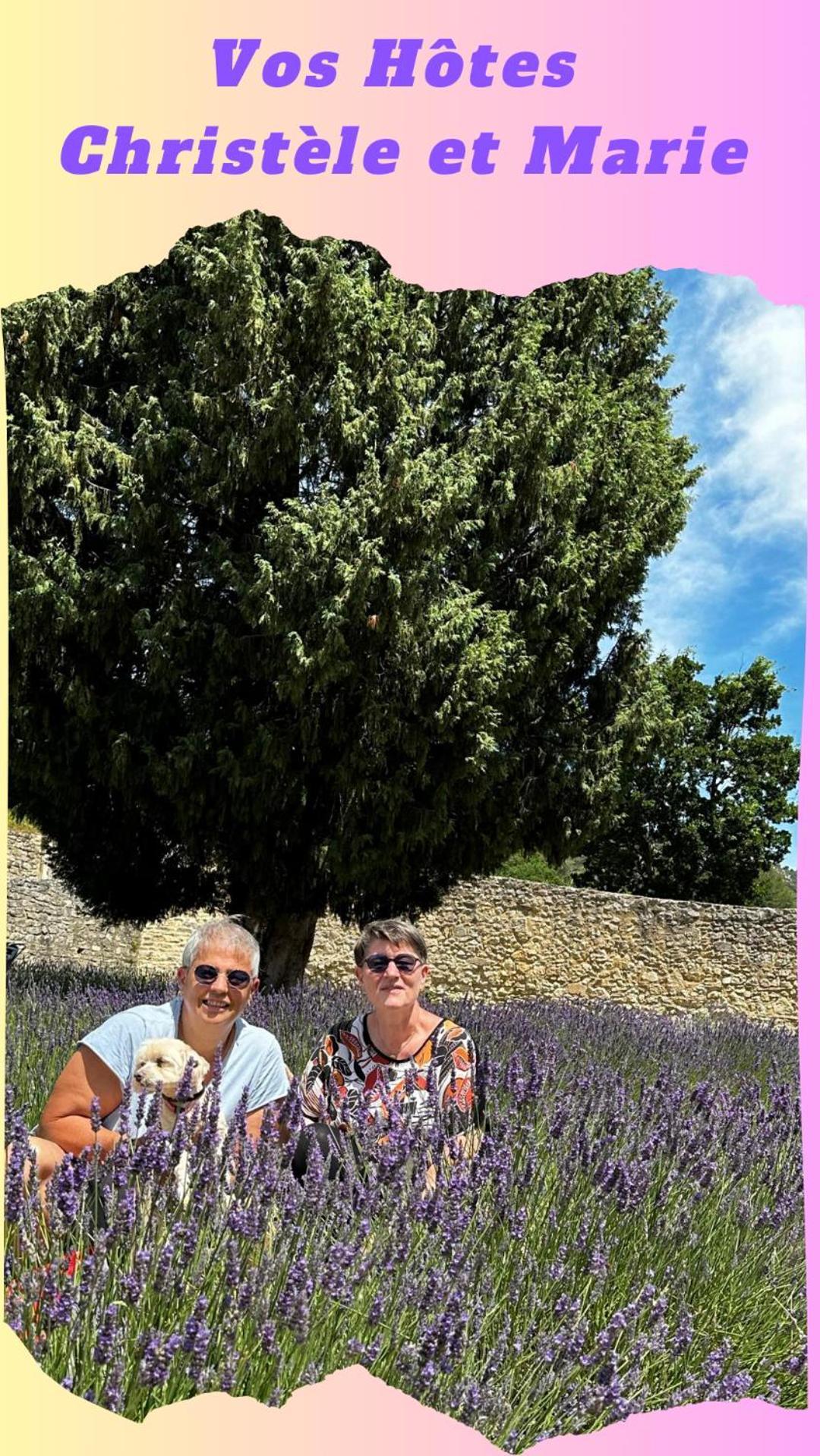 Clos De La Noria Pont-Saint-Esprit Bagian luar foto